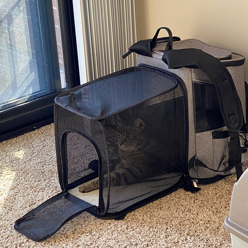 حقيبة قطط، حقيبة ظهر محمولة لل - مراجعة Foldable Backpack Small وسعره