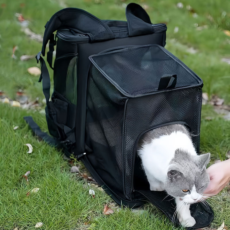 حقيبة قطط، حقيبة ظهر محمولة لل - مراجعة Foldable Backpack Small وسعره