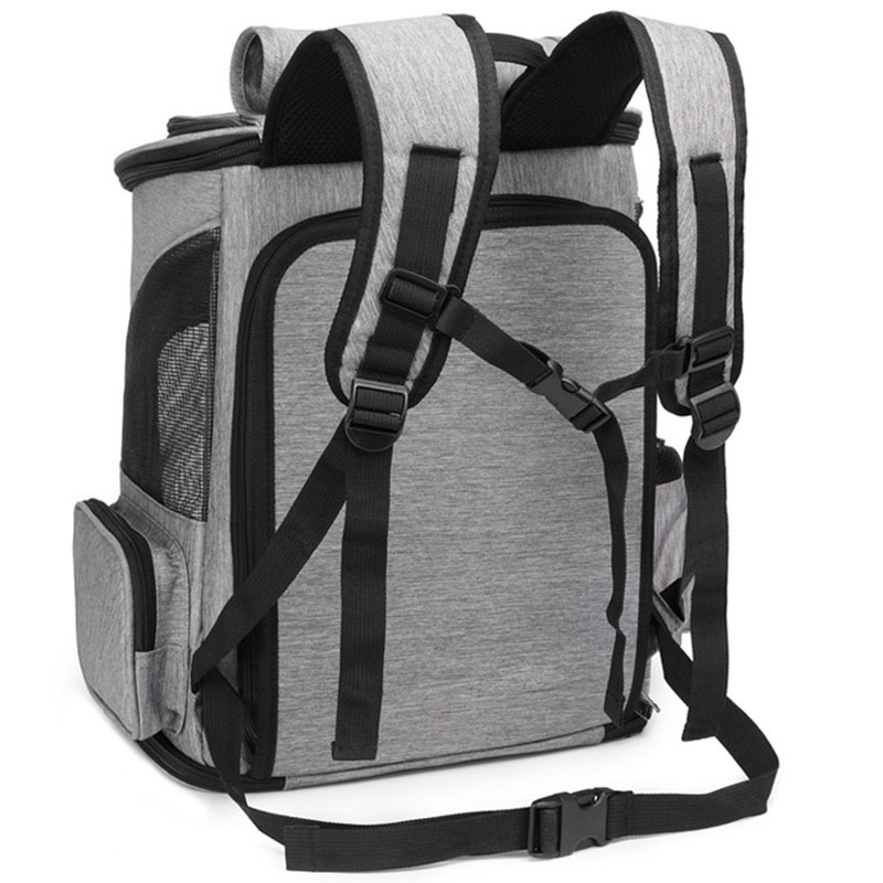 حقيبة ظهر حيوان أليف قابلة للت - مراجعة Foldable Backpack Small وسعره